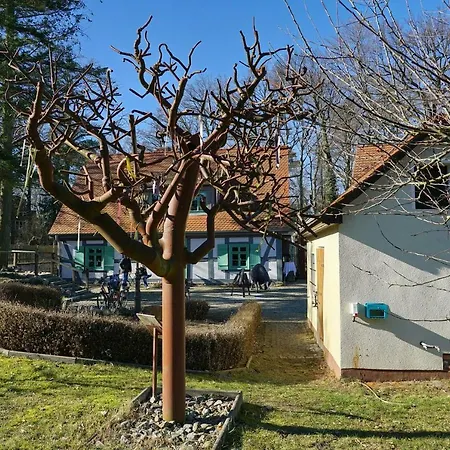 5 - Gourmetzimmer Apartament